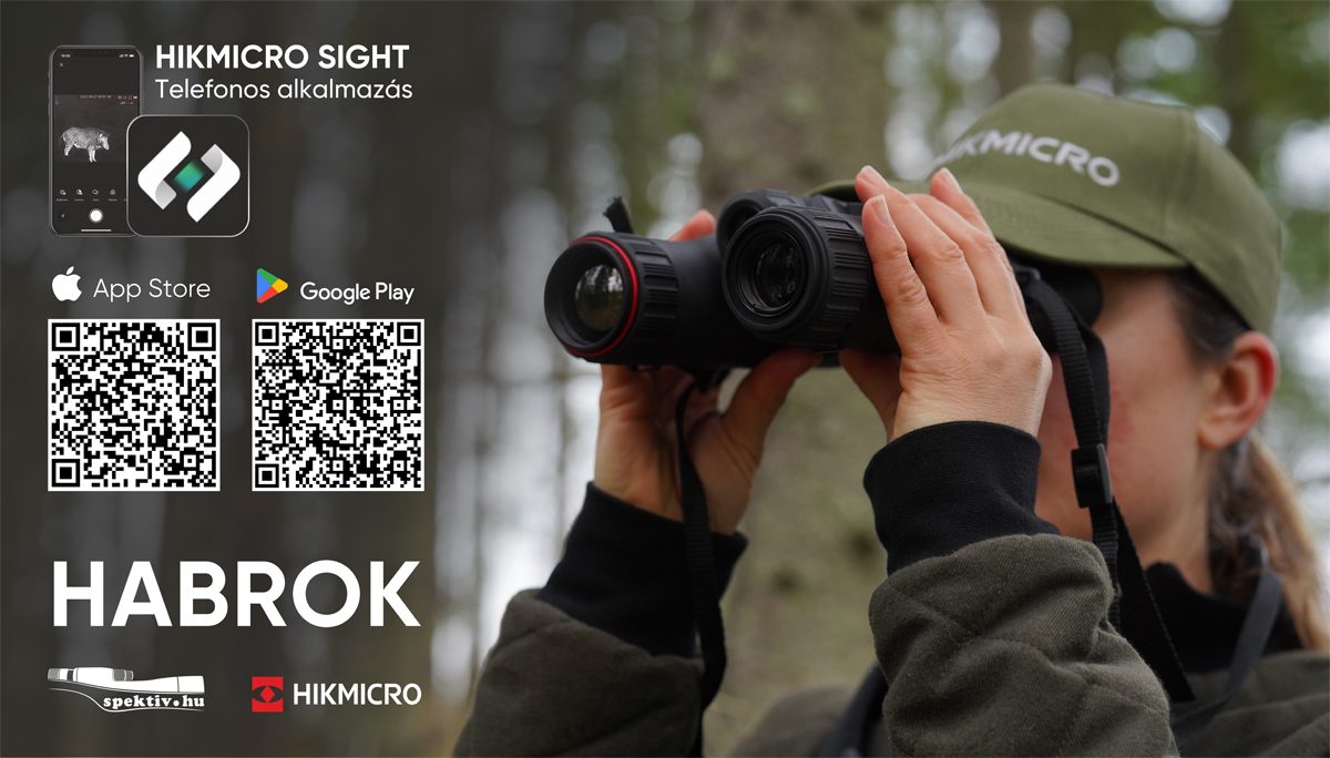 habrok_tulajdonsagok-7